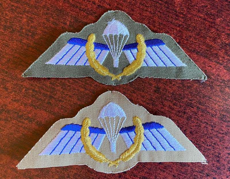 NETHERLANDS PARA WINGS-B WING (COMBAT JUMP) (U.A.) 2 WINGS