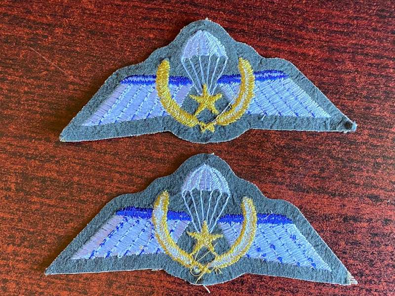 NETHERLANDS PARA WING- A WING (COMBAT JUMP) 2 WINGS- DIFFERENT COLOURS -SOLD TOGETHER
