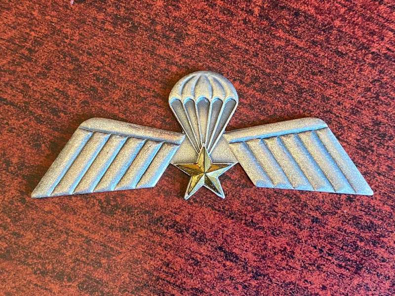 NETHERLANDS RECON. COMPANY PARA WING- MISSING STICK PIN
