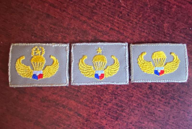 PHILIPPINES PARA WINGS FOR MASTER-SENIOR AND BASIC