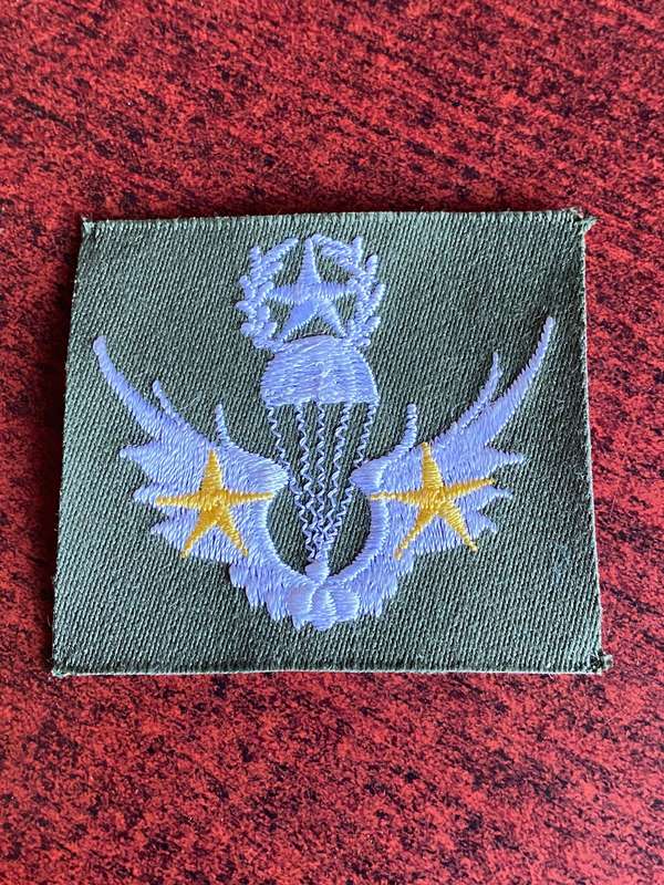 SOUTH KOREA PARA WINGS-FREE FALL- 200 JUMPS- FOR ARMY