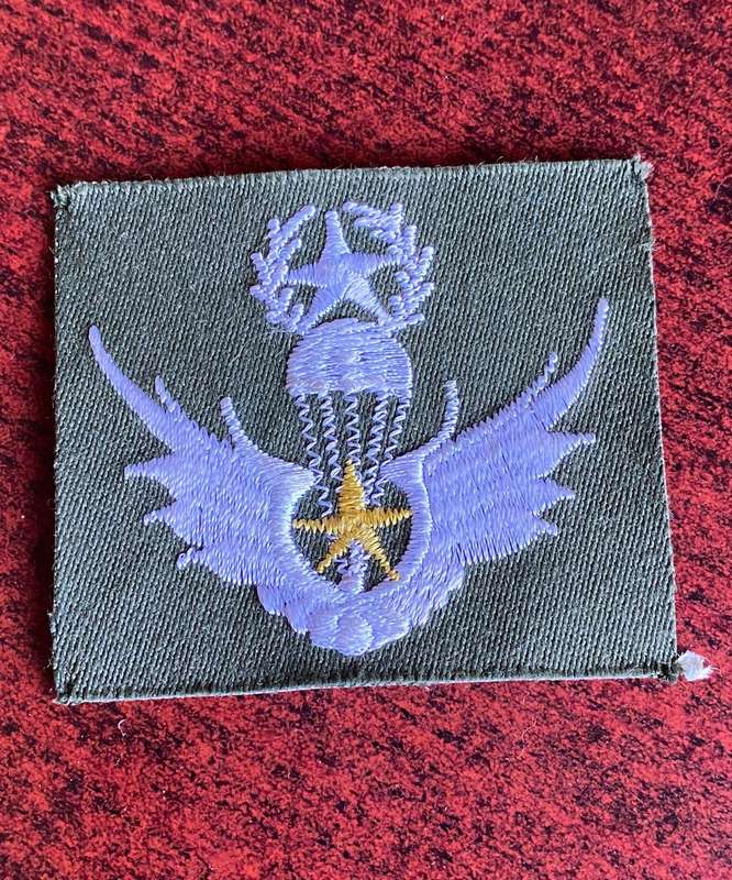 SOUTH KOREA PARA WINGS-FREEFALL 100 JUMPS-FOR ARMY