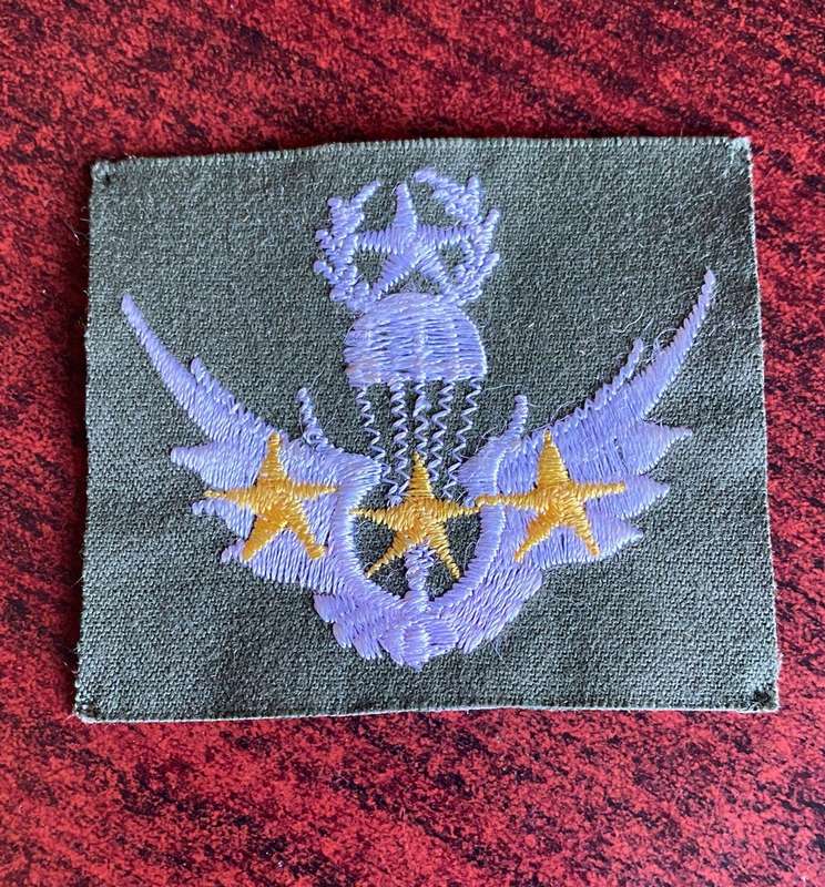 SOUTH KOREA PARA WINGS-FREE FALL- 300 JUMPS- FOR ARMY