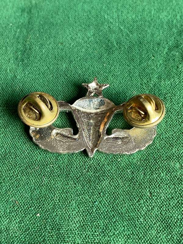 USA SENIOR PARA WING-CHROME- 2 PINS
