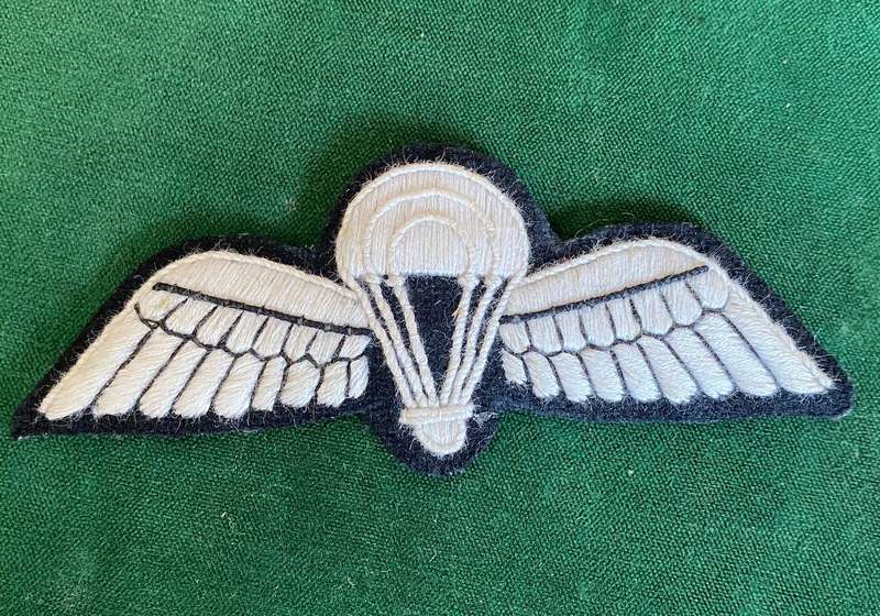 INDIAN AIR FORC PARA WING