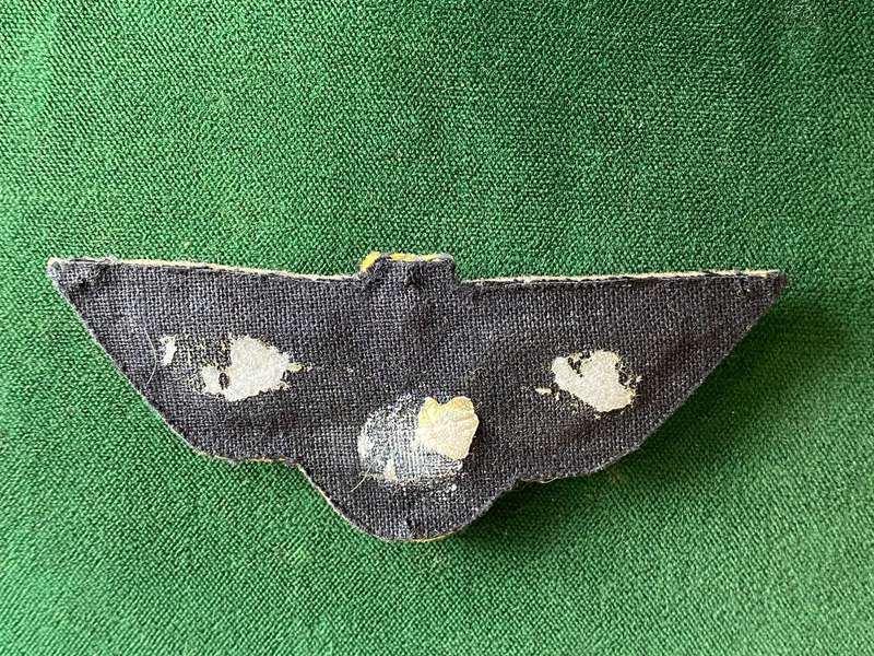 INDIAN ARMY PARACHUTE WING