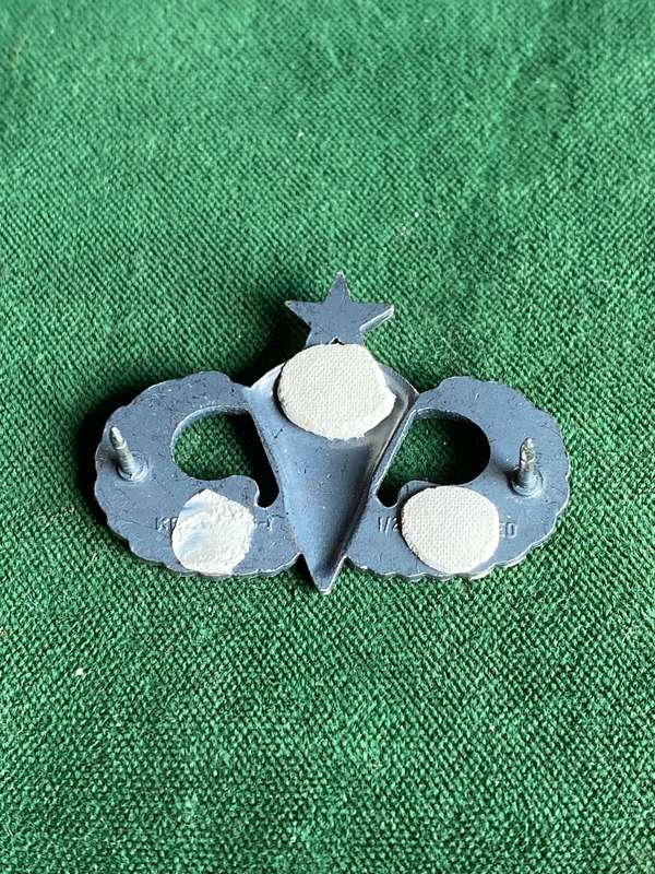 USA SENIOR PARA WING-WHITE METAL - 2 PINS