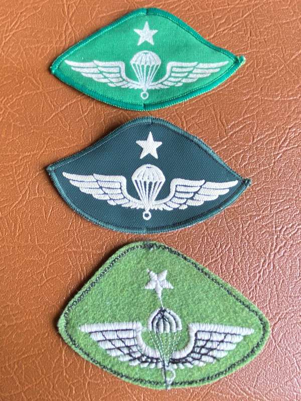 GREECE SENIOR PARA WINGS- SOLD IN 3 CLASSES-1980'S