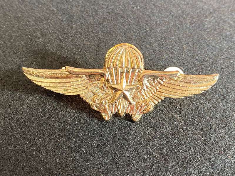 PERU PARA WING- 2 PINS