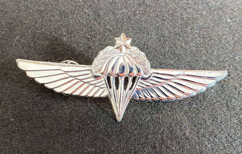ISRAEL ADVANCED PARA WING- 2 PINS