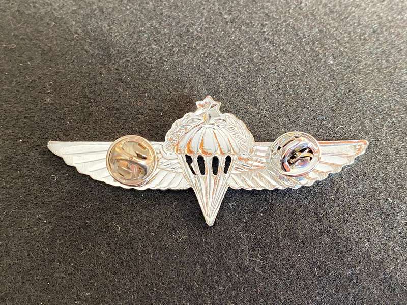 ISRAEL ADVANCED PARA WING- 2 PINS