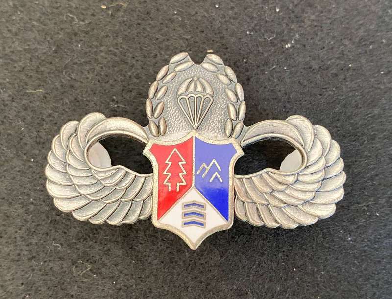 REPUBLIC OF CHINA,SPECIAL FORCES PARA WING- 2 PINS