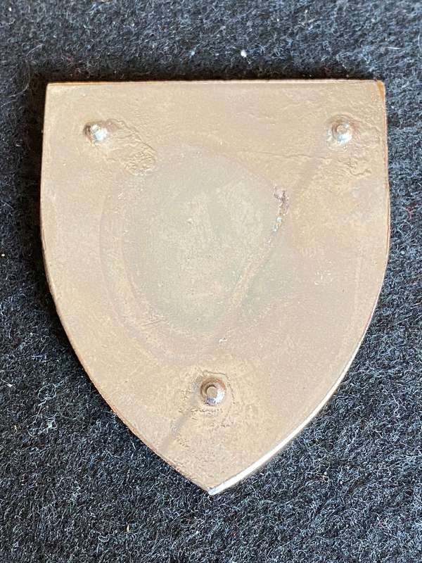 SWA 1 RECCE REGT. POCKET FLASH- NO PINS