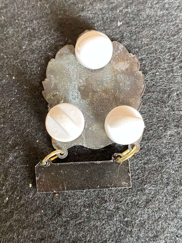 MOTH 75 JUBILEE BADGE- 3 PINS-NAMIBIA