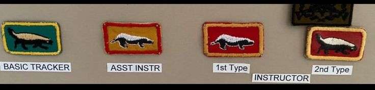 1 SWA SPECIALIST UNIT 1ST TYPE INSTRUCTORS BREAST BADGE-THIS IS FROM COLONELS RADMORES COLLECTION(SW