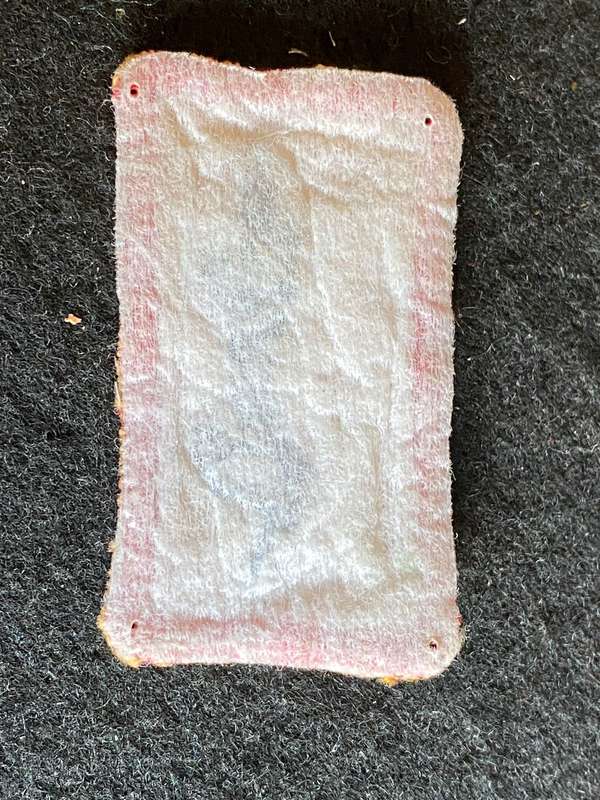 1 SWA SPECIALIST UNIT ASSISTANT INSTRUCTORS BREAST BADGE-ORIGINAL BADGE FROM COLONEL RADMORE'S COLLE