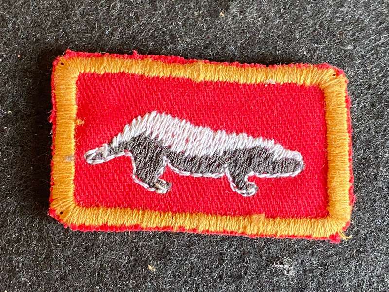1 SWA SPECIALIST UNIT 1ST TYPE INSTRUCTORS BREAST BADGE-THIS IS FROM COLONELS RADMORES COLLECTION(SW