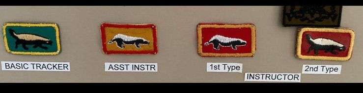 1 S.W..A. SPECIALIST UNIT 2ND TYPE INSTRUCTORS BREAST TYPE-FROM COLONEL RADMORES COLLECTION (SWA)-PL