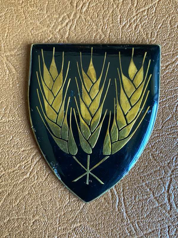 SWARTLAND COMMANDO FLASH- NO PINS