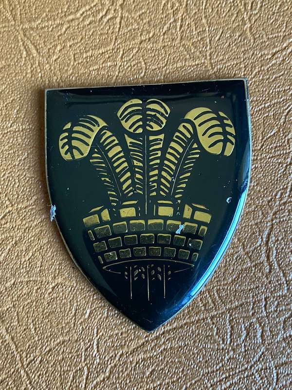 OUDSHOORN COMMANDO FLASH- NO PINS
