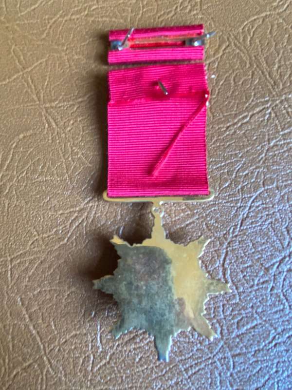 SWA PRO NITENDO MEDAL -NEVER ISSUED (SCARCE FIND) FULL SIZE