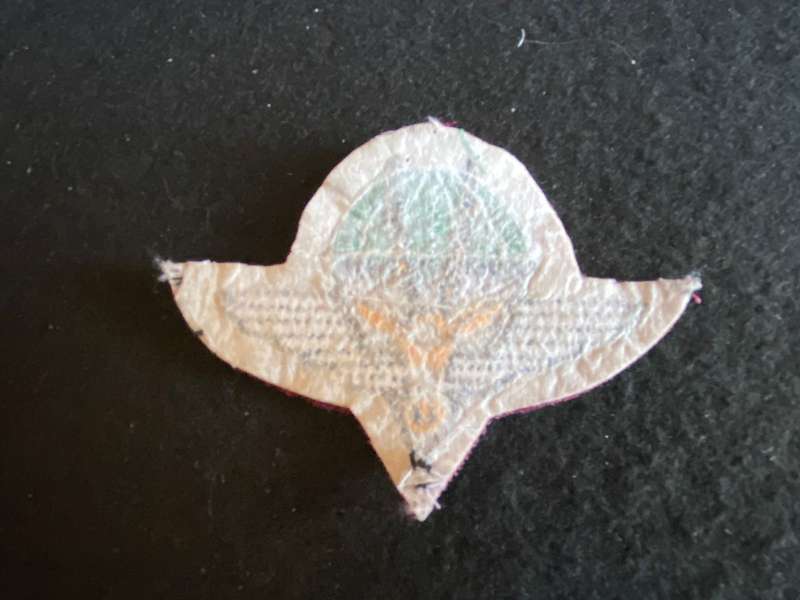 SWA PARA BATTALION BERET BADGE