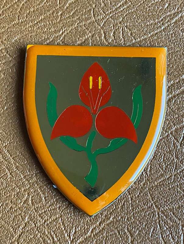 SA MILITARY ACADEMY  GOLD CENTRE,FLASH- NO PINS