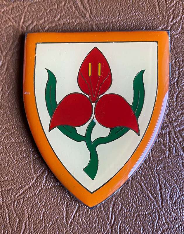 SA MILITARY ACADEMY WHITE CENTRE FLASH- N0 PINS