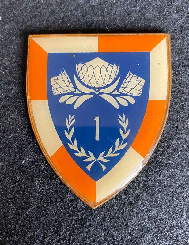 1 SPECIAL SERVICE BATTALION FLASH-WHITE TYPE-1ST ISSUE- NO PINS