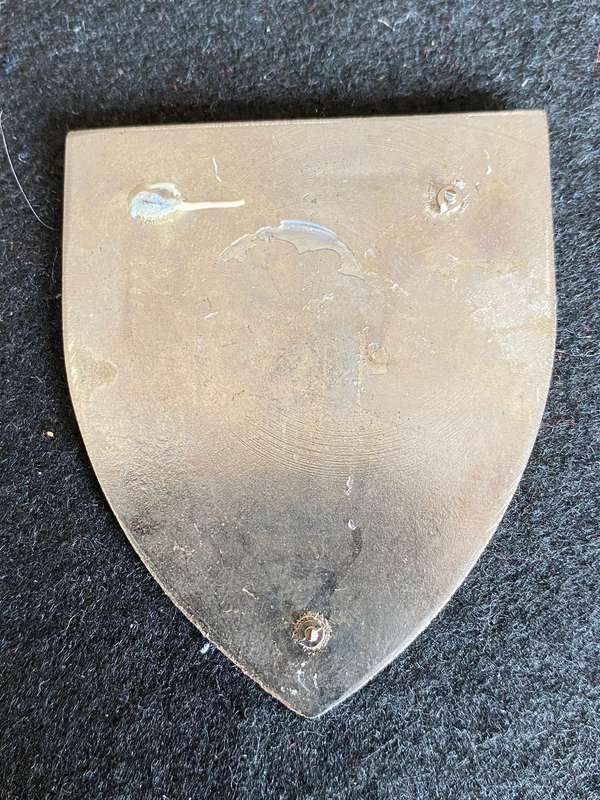 1 SPECIAL SERVICE BATTALION FLASH- GOLD TYPE- 2ND ISSUE- NO PINS