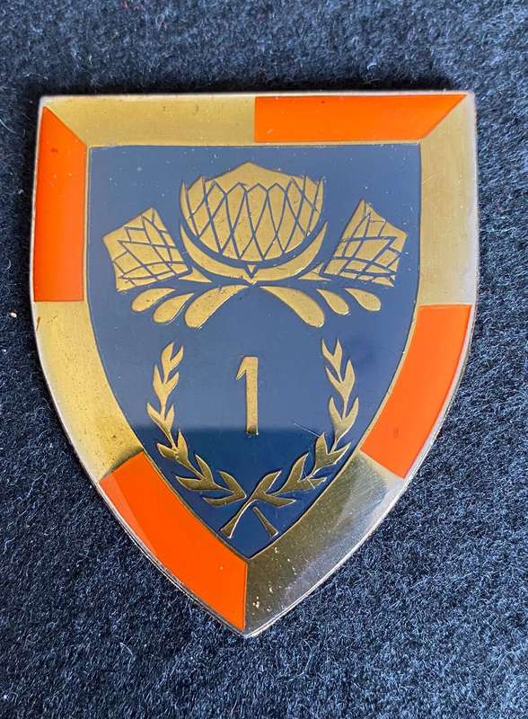 1 SPECIAL SERVICE BATTALION FLASH- GOLD TYPE- 2ND ISSUE- NO PINS