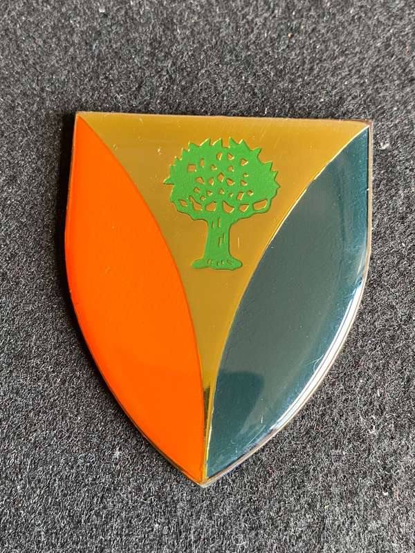 REGT. VRYSTAAT FLASH- NO PINS