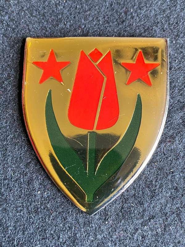 SOUTH WEST KAROO COMMANDO FLASH- NO PINS