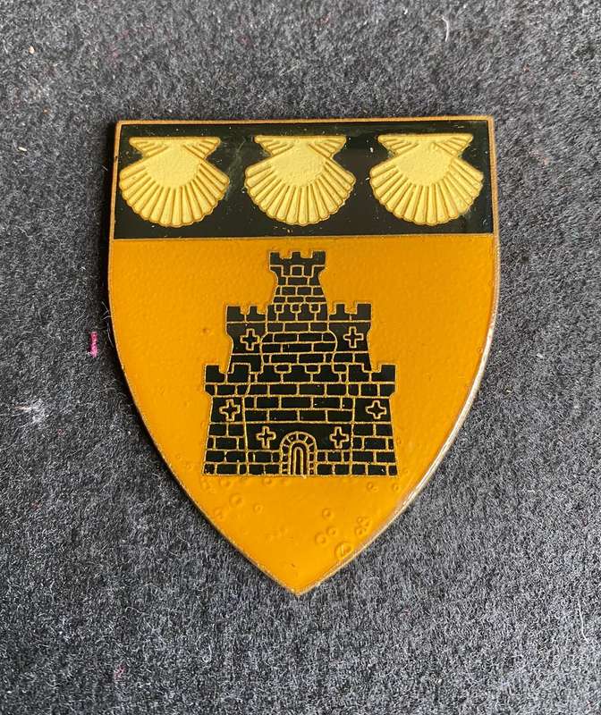 REGT. EAST RAND FLASH- NO PINS