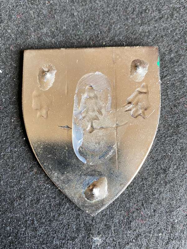 FAR NORTH SIGNAL UNIT FLASH- NO PINS