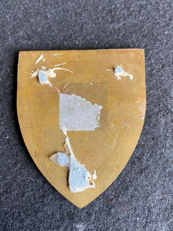 10 ENGINEER SQUADRON FLASH- NO PINS