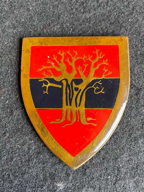 10 ENGINEER SQUADRON FLASH- NO PINS