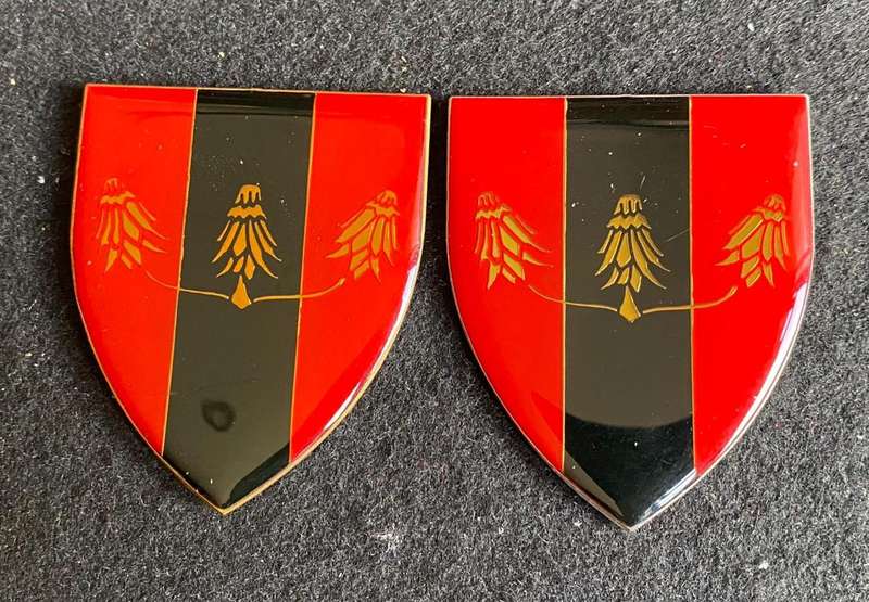 FAR NORTH PROVOST UNIT FLASH PAIR- NO PINS