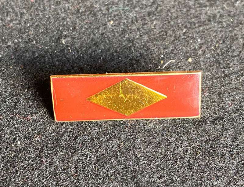 S.W.A.T.F. MEDICAL CORPS BERET BAR- 2 PINS
