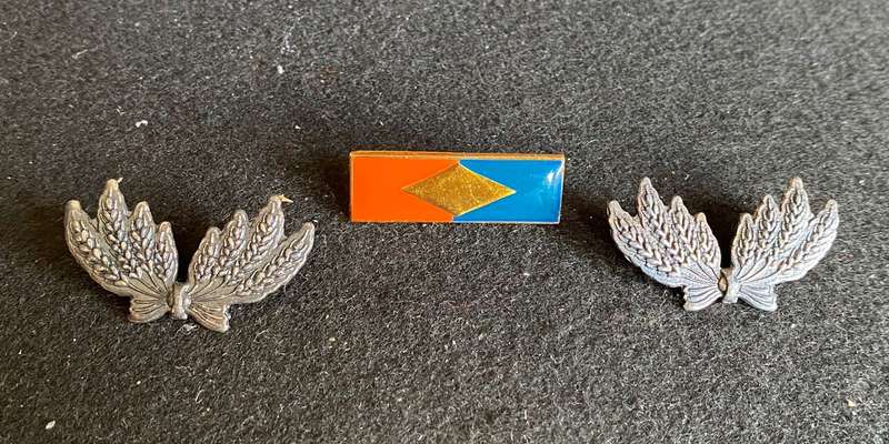 S.W.A.T.F SERVICES CORPS BERET BAR AND COLLARS-PINS INTACT