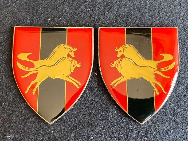 NATAL COMMAND PROVOST UNIT FLASH PAIR- NO PINS