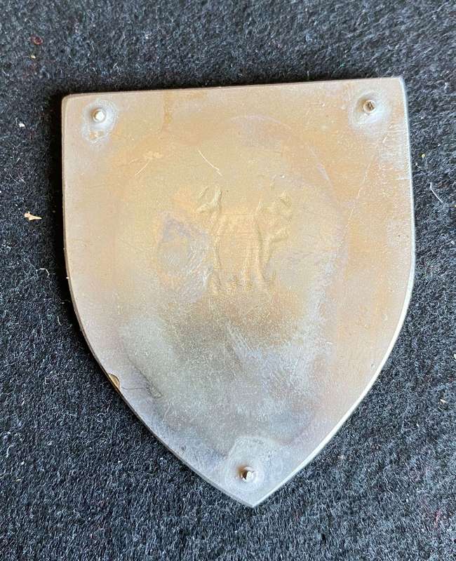 CAPE REGIMENT FLASH- NO PINS