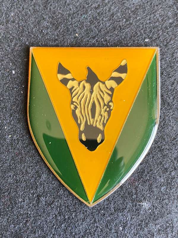 CAPE REGIMENT FLASH- NO PINS