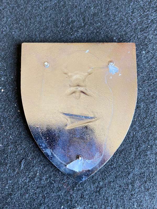 SA RAILWAYS FIRE BRIGADE FLASH- NO PINS