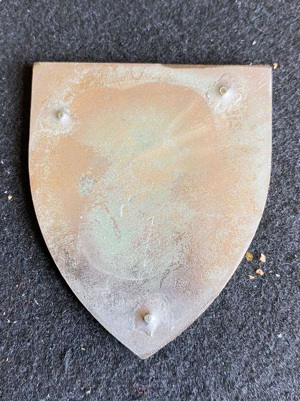 SWA 101 BATTALION,RECCE COMPANY-FULL SIZE FLASH- NO PINS