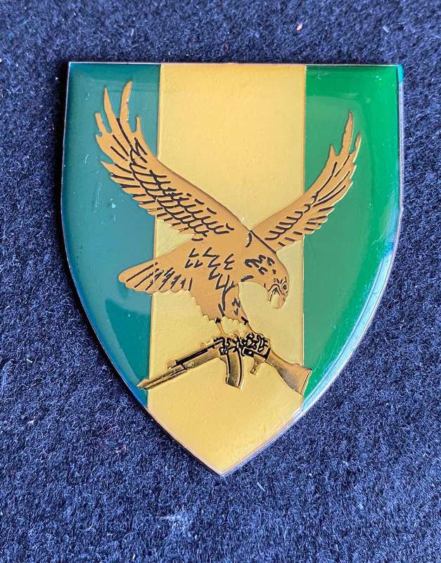 SWA 101 BATTALION,RECCE COMPANY-FULL SIZE FLASH- NO PINS
