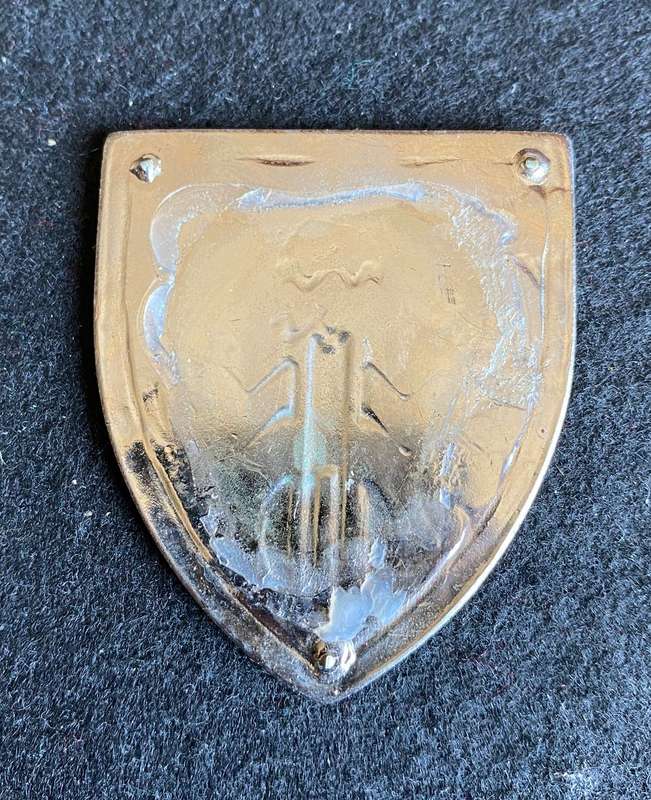19 VUURPYL REGT. FLASH -NO PINS -SCARCE