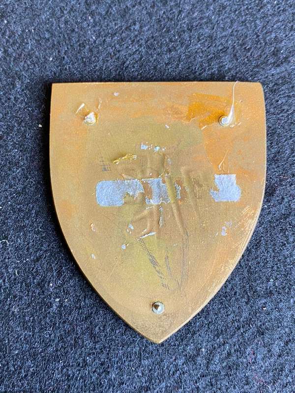 73 MOTORISED BRIGADE HQ FLASH- NO PINS