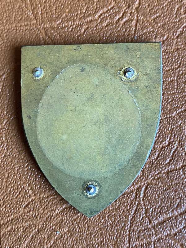 SWA 913 BATTALION POCKET FLASH- NO PINS