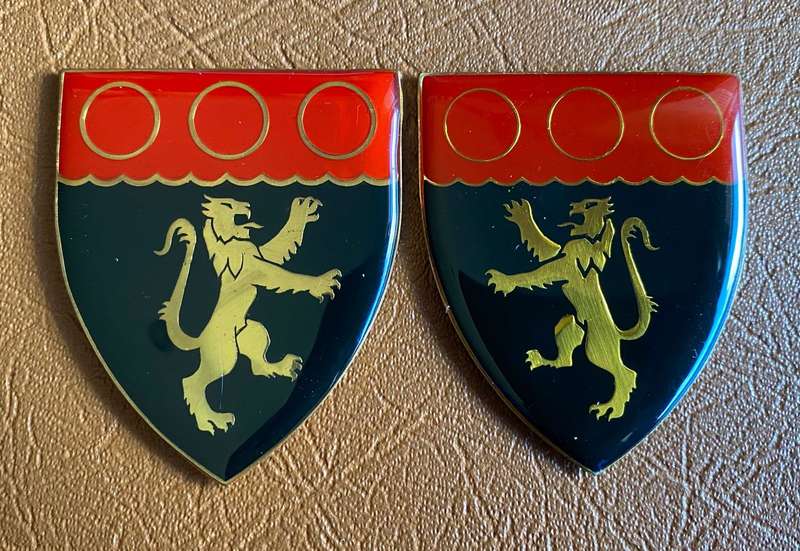 CAPE FIELD ARTILLERY FLASH PAIR- NO PINS
